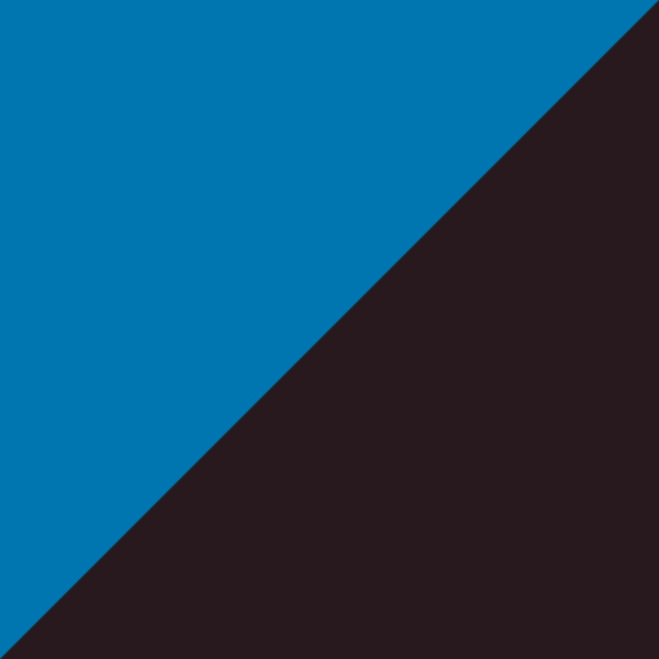 Turquoise Blue/Creamy Brown