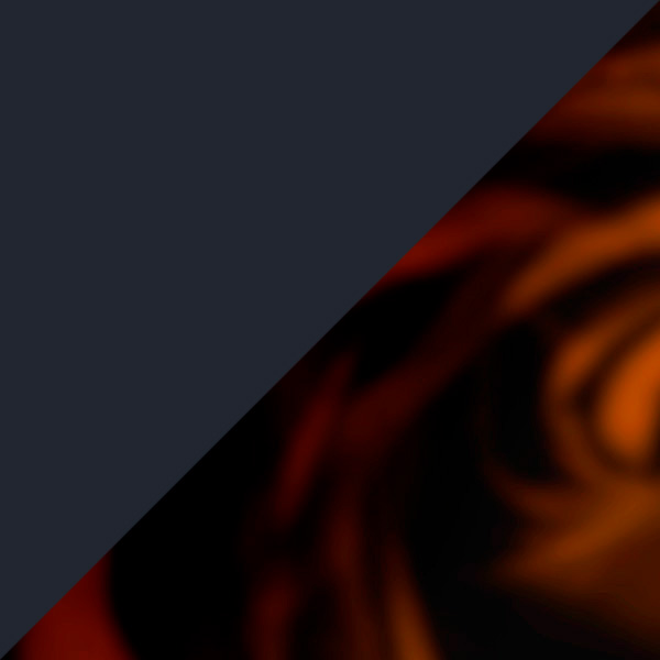 Black/Brown Tortoiseshell