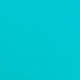 Turquoise Shiny