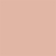 Nude Translucent Shiny