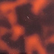 Tortoiseshell Auburn Shiny/White/Peach Shiny