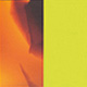 Tortoiseshell Fawn Shiny/Yellow Fluorescent Satin
