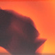 Tortoiseshell Fawn Matte
