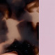 Tortoiseshell Dew/Rose Pearly Shiny