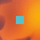 Tortoiseshell Blonde Matte/Turquoise Matte