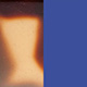 Tortoiseshell Tokyo Shiny/Blue Majorelle Satin
