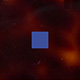 Tortoiseshell Cherry Shiny/Blue Majorelle Shiny