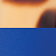 Tortoiseshell Tokyo Matte/Blue Majorelle Matte