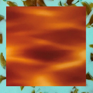 Tortoiseshell Blonde Shiny/Turquoise Marbled Shiny