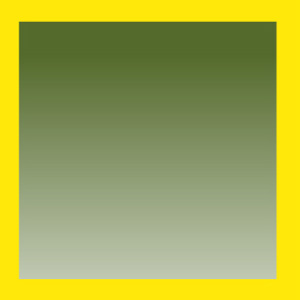 Khaki Gradient Shiny/Yellow Fluorescent Shiny