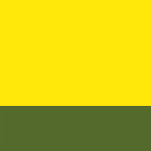 Yellow Fluorescent Shiny/Khaki Satin