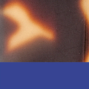 Shiny Tokyo Tortoise/Satin Blue Majorelle