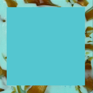 Shiny Translucent Turquoise/Shiny Marbled Turquoise