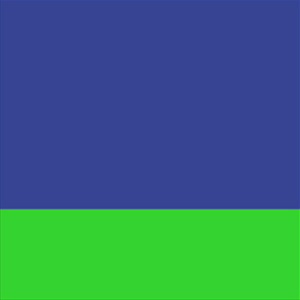 Shiny Majorelle Blue/Satin Neon Green