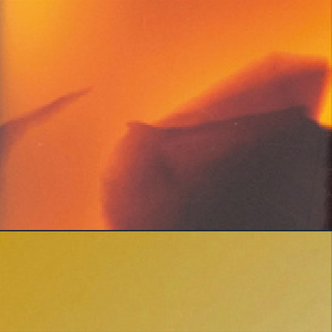 Shiny Blonde Tortoise/Polished Pale Gold