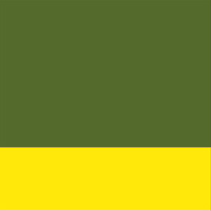 Shiny Khaki/Neon Yellow Satin