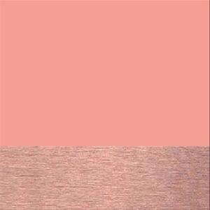 Shiny Peach Solid/Polished Rose Gold