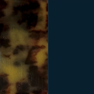 Tortoiseshell Tortoise Shiny/Blue Night Shiny