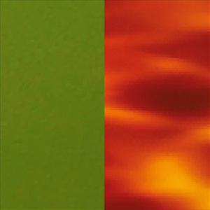 Shiny Translucent Lime/Shiny Blonde Tortoiseshell