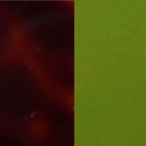 Shiny Cherry Tortoiseshell/Matte Translucent Lime