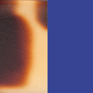 Matte Tokyo Tortoise/Shiny Majorelle Blue