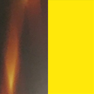 Shiny Dark Veined Tortoiseshell/Matte Translucent Yellow