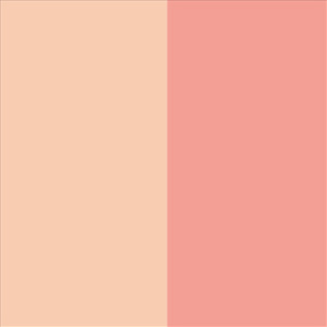 Matte Translucent Nude/Shiny Peach