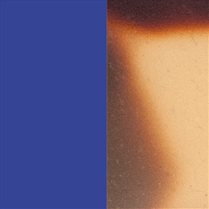 Shiny Majorelle Blue/Shiny Tokyo Tortoiseshell