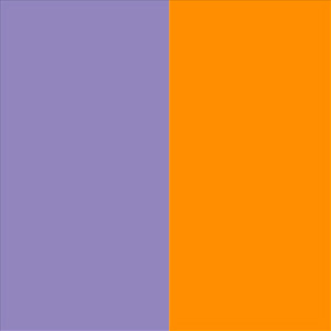 Matte Translucent Parma/Matte Translucent Neon Orange