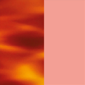 Shiny Blonde Veined Tortoiseshell/Shiny Peach