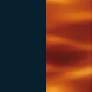 Shiny Midnight Blue/Shiny Blonde Tortoiseshell