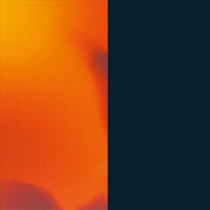 Shiny Tortoiseshell Blonde/Shiny Midnight Blue