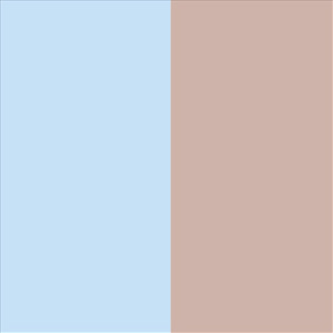 Shiny Translucent Light Blue/Shiny Translucent Brown