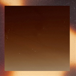 Gradient Brown Shiny/Tortoiseshell Tokyo Shiny