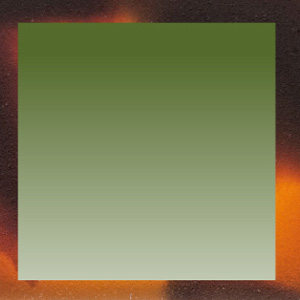 Gradient Khaki Shiny/Tortoiseshell Fawn Shiny