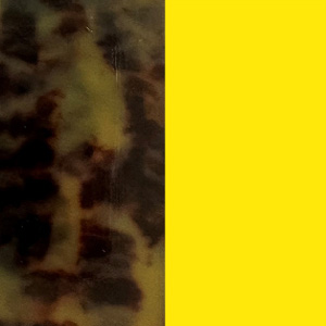Shiny Tortoiseshell/Satin Neon Yellow