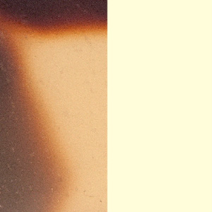 Shiny Tokyo Tortoiseshell/Satin Ivory