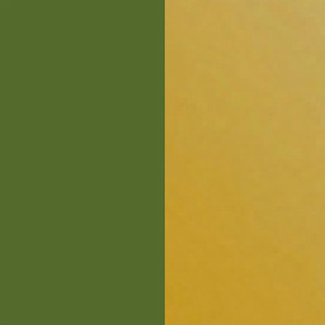 Shiny Khaki/Polished Yellow Gold