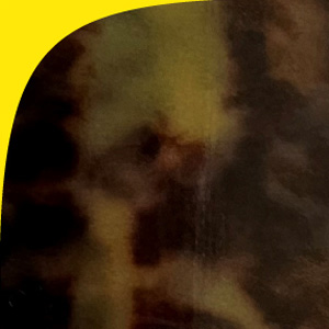 Shiny Tortoiseshell/Shiny Neon Yellow