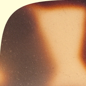 Shiny Tokyo Tortoiseshell/Shiny Ivory