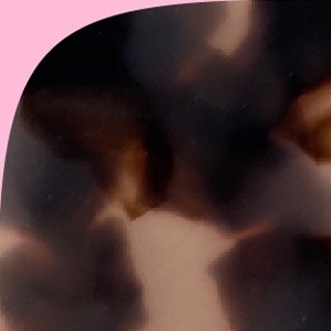 Shiny Pink Tortoiseshell/Shiny Baby Pink