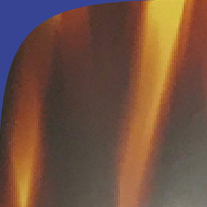 Shiny Dark Veined Tortoiseshell/Shiny Majorelle Blue