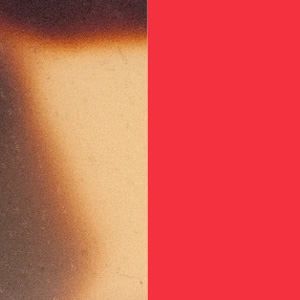 Shiny Tokyo Tortoiseshell/Shiny Red