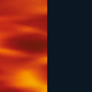 Shiny Blonde Veined Tortoiseshell/Shiny Midnight Blue