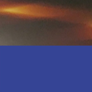 Tortoiseshell Veined Dark Shiny/Blue Majorelle Matte