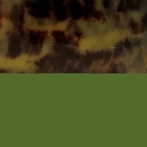 Tortoiseshell Tortoise Matte/Khaki Translucent Shiny