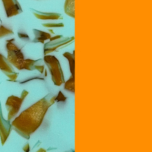 Matte Marbled Turquoise/Shiny Miami Neon Orange