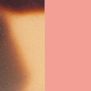 Shiny Tokyo Tortoise/Matte Peach