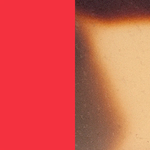 Shiny Red/Shiny Tokyo Tortoiseshell