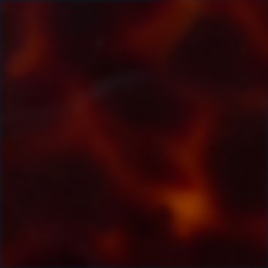 Tortoiseshell Cherry Shiny